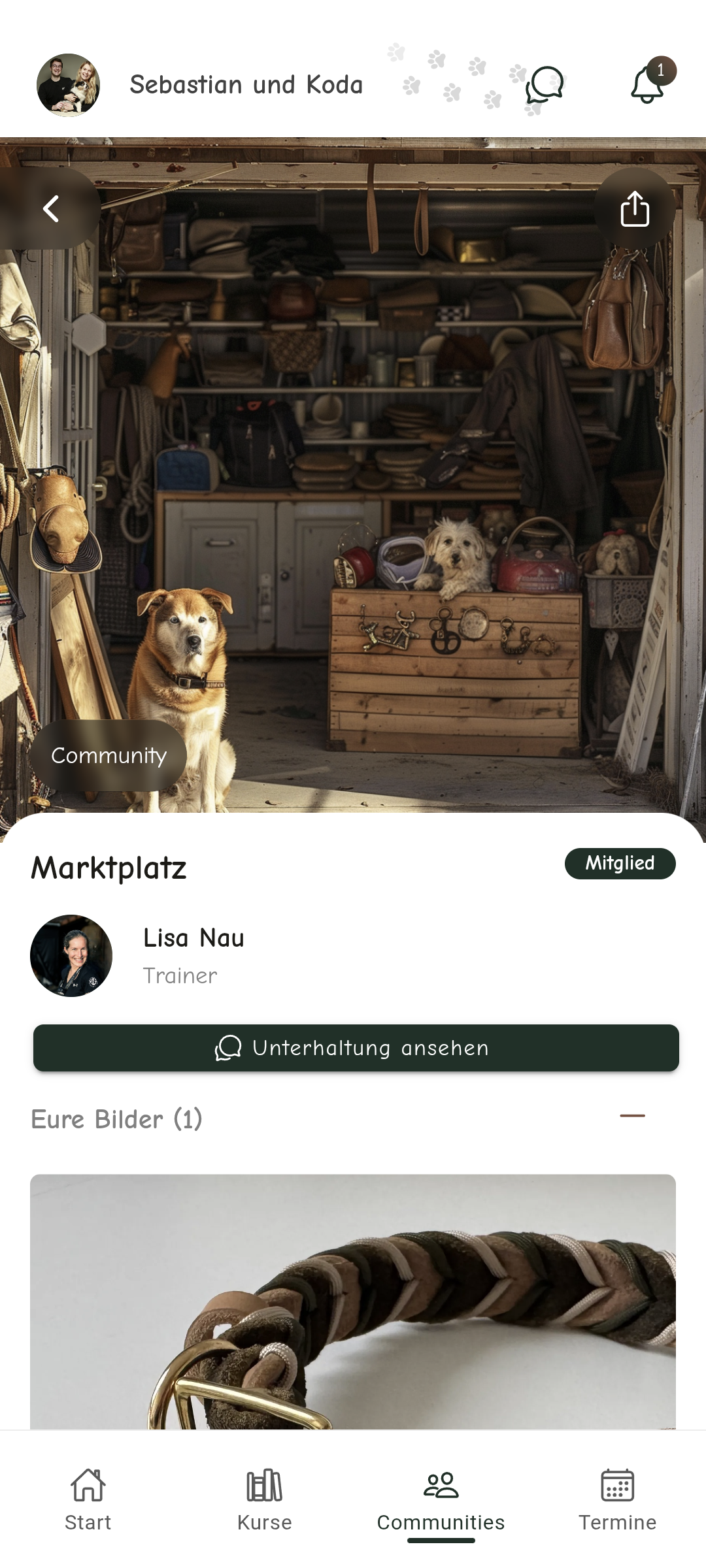 Community-Funktion und Gruppen-Chat in der Herzenshunde App