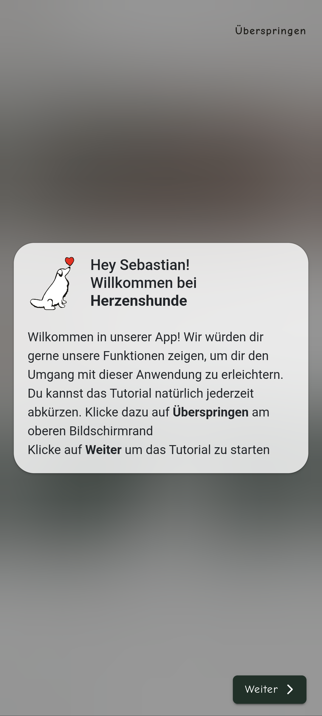 Herzenshunde App Onboarding Tour