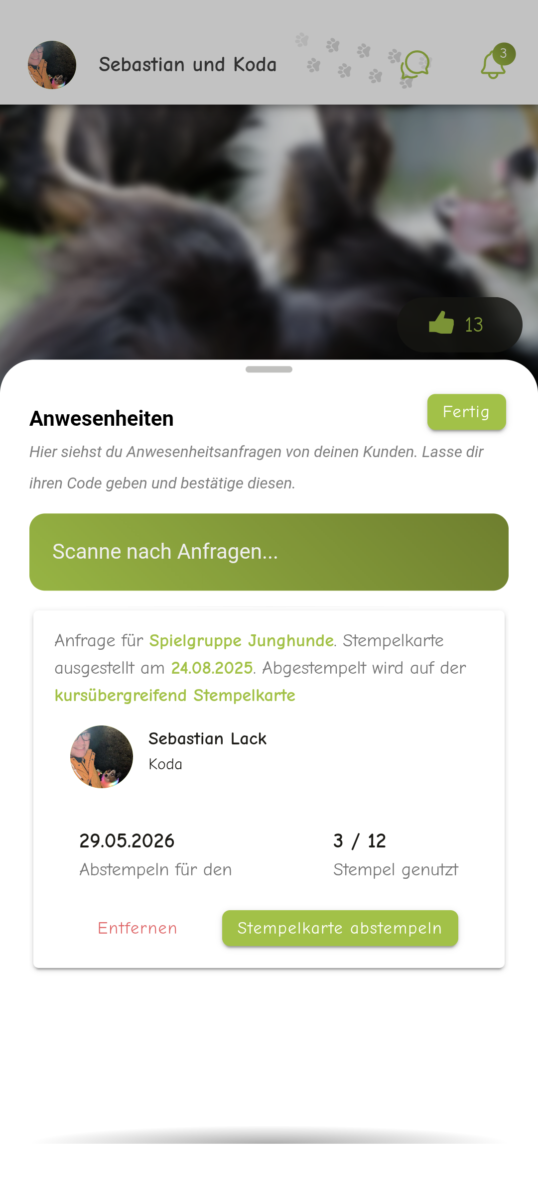 Admin-Panel für Hundepensionsverwaltung und Mitarbeiterübersicht