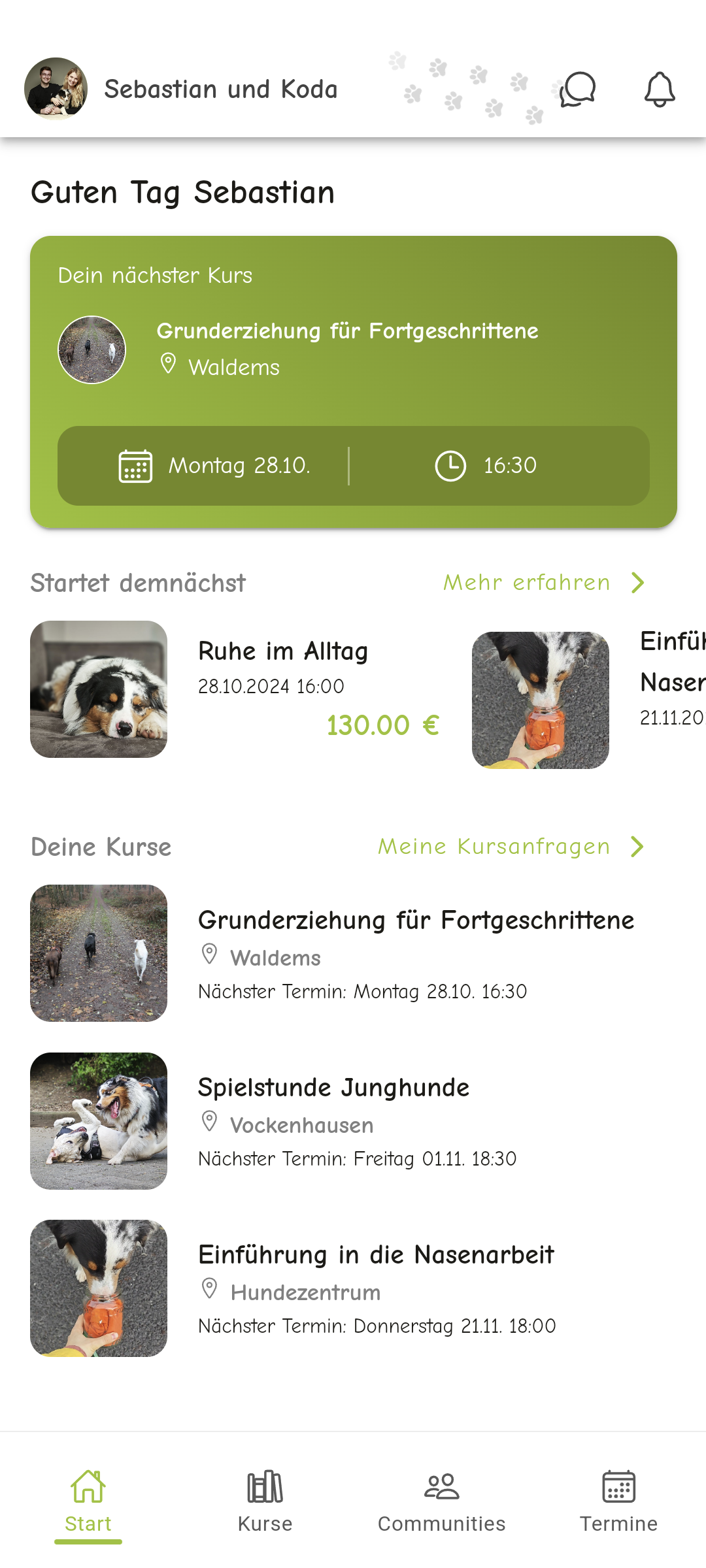 Top Dogs App - Startscreen